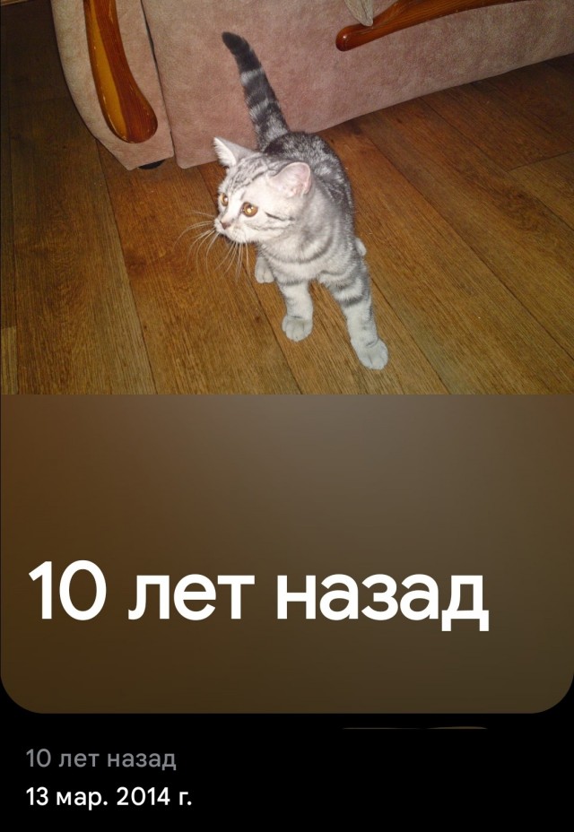 Кекс