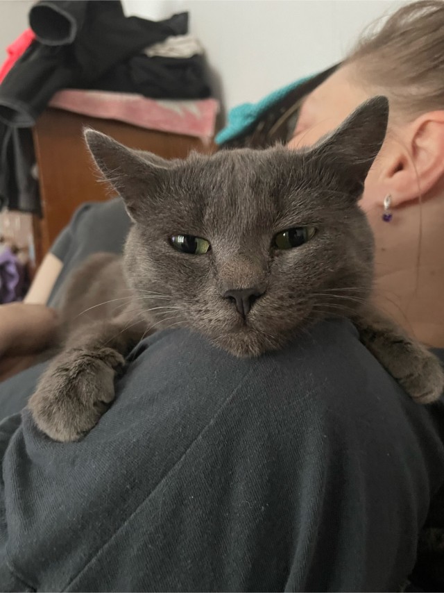 Всех с котовторником