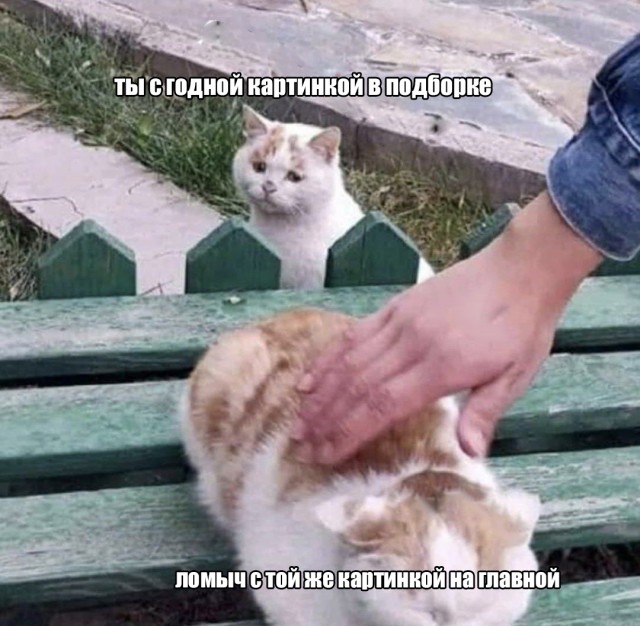 ⚡ ЯП, с Днем Рождения! С юбилеем! 20 лет ЯПу!