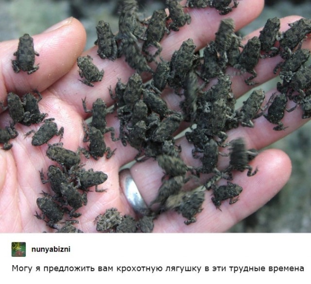 Так себе картинки 30.09.24