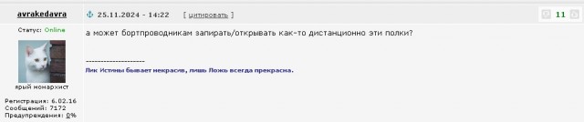Автоматической блокировкой полок над сиденьями самолётов во время ЧП просят оснастить все российские борты