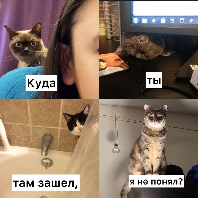 СМИ: Роскомнадзор начнёт отслеживать пользователей, которые заходят на заблокированные сайты