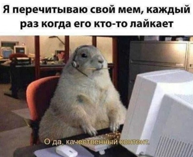 Так себе картинки 19.02.25