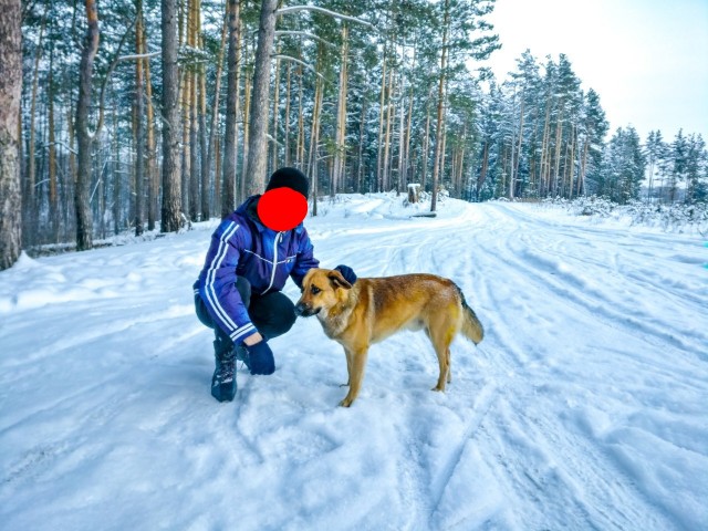 Жирные люди, извините
