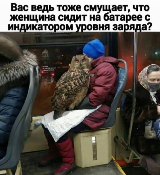 «Хммм»-изображения
