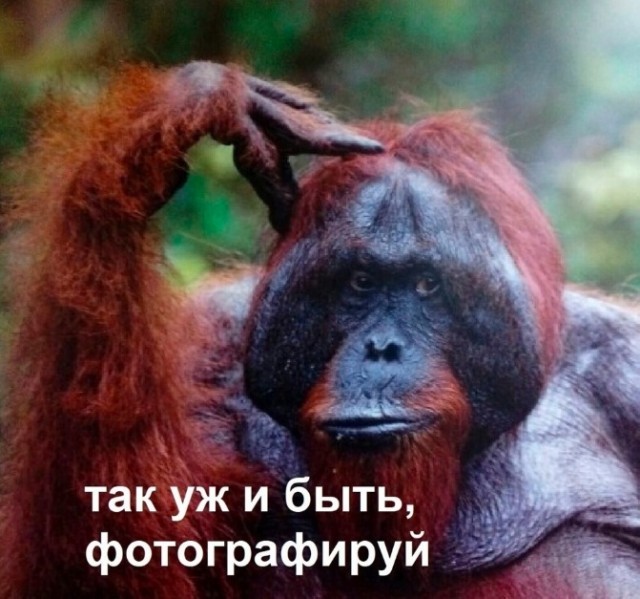 Картинки разные с надписями и без