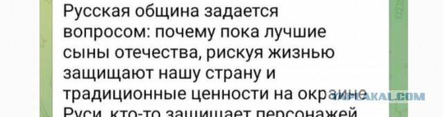 Историк Клим Жуков просит проверить Русскую Общину из Пушкино