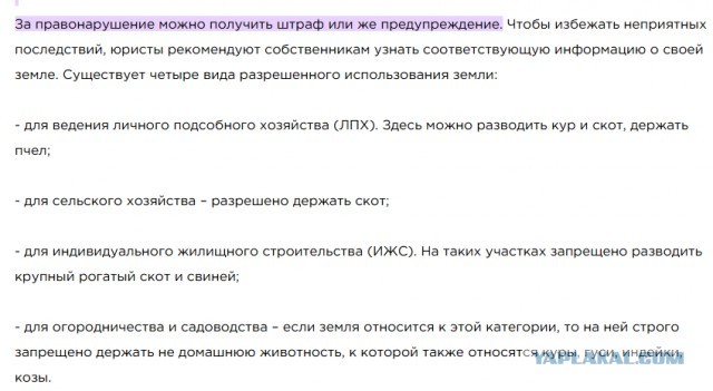 Что я узнал, переехав из города в деревню