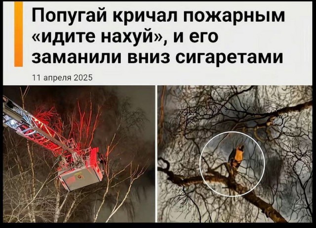 Немного е*анины на субботу