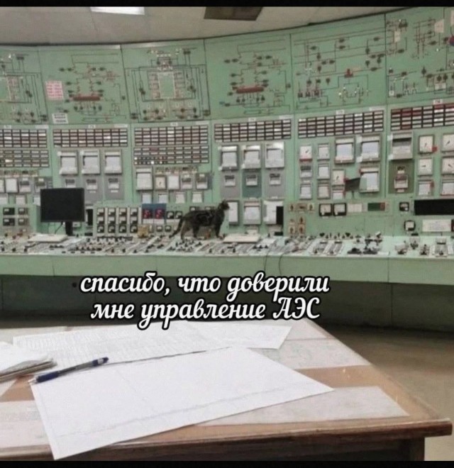 К котовторнику.