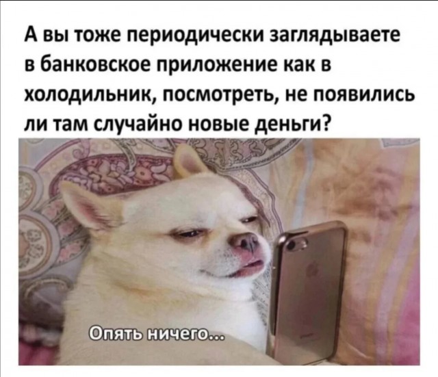 Юмор за день