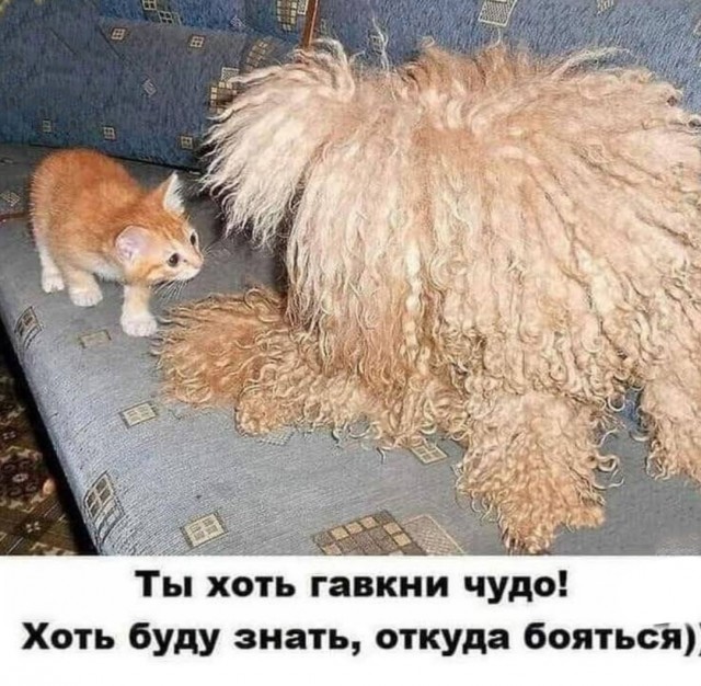 Так себе картинки 15.06.25