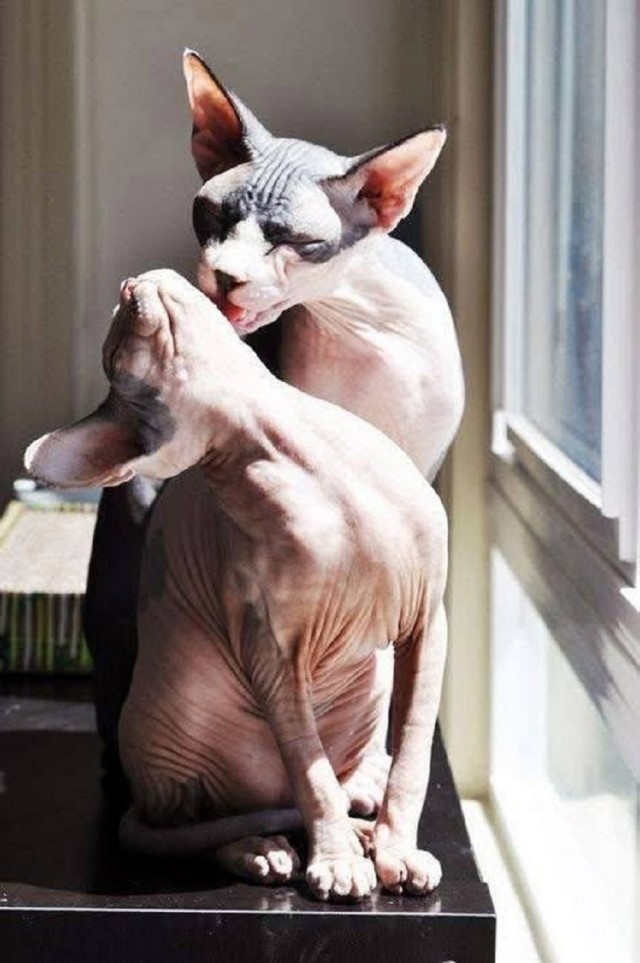 Так себе картинки 30.06.25