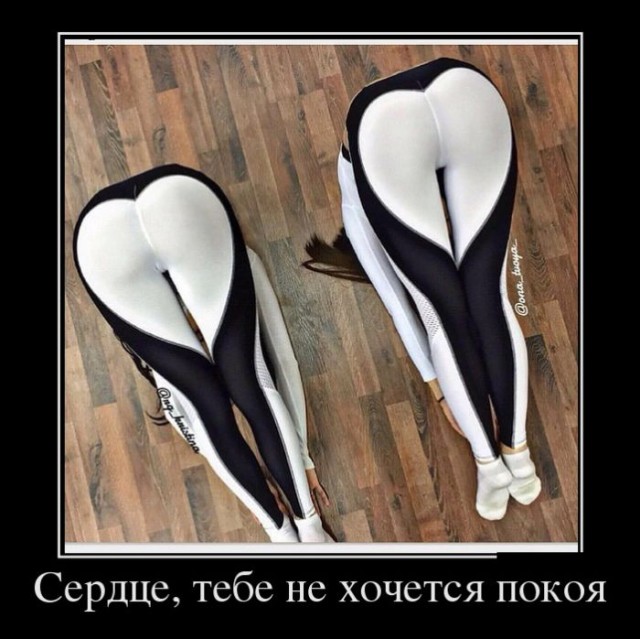 Забавные и не очень скромные картинки - 7