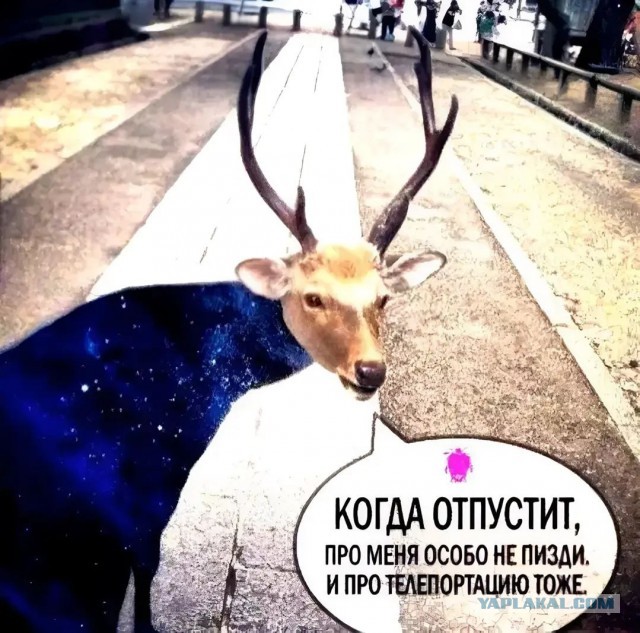 А что, если есть?