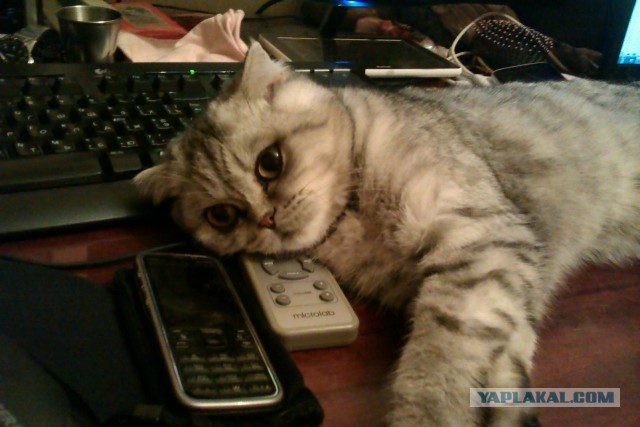 А ты живи с этим