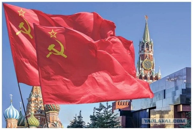 Новый подвид тарелочниц вывели в сети