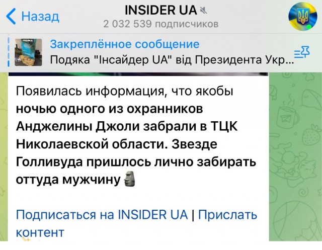 Охранника Анджелины Джоли забрали ТЦКшники в Николаевской области