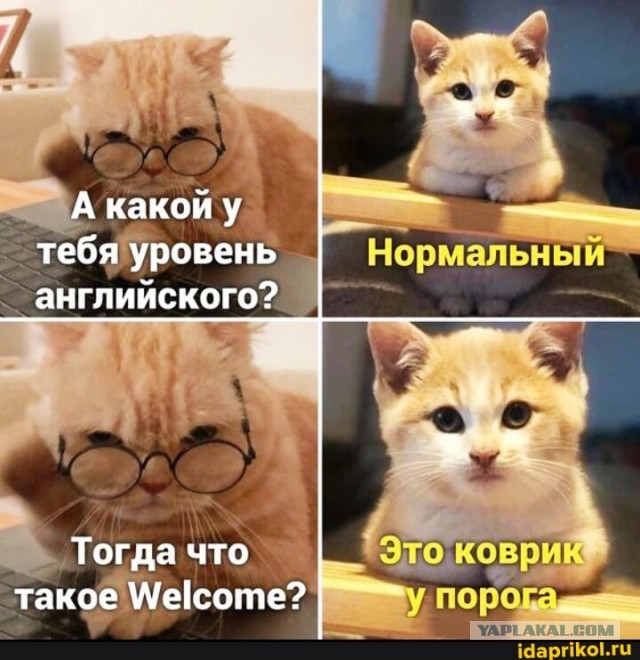 Прикольные и просто красивые картинки 07.11.2025