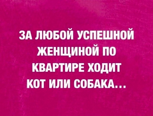 Картинки для деградации 106 (разной степени свежести)