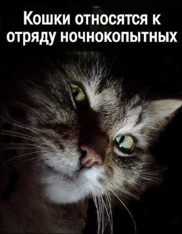 Воскресные картинки