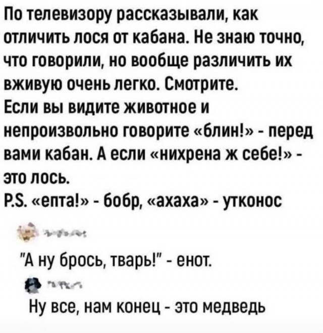 Маленькая пятница 4.02