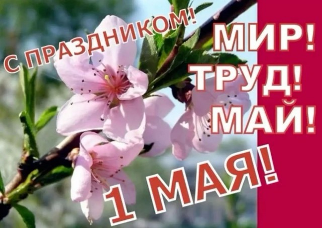 Взрыв родительских чатов
