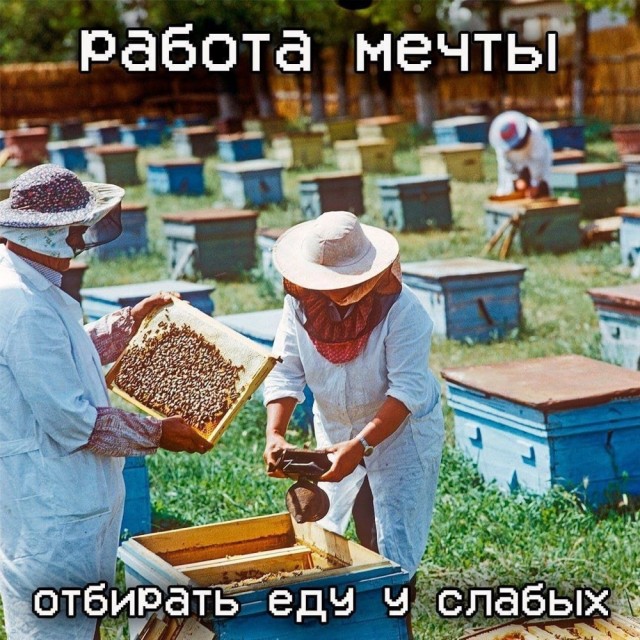 Среды картинки