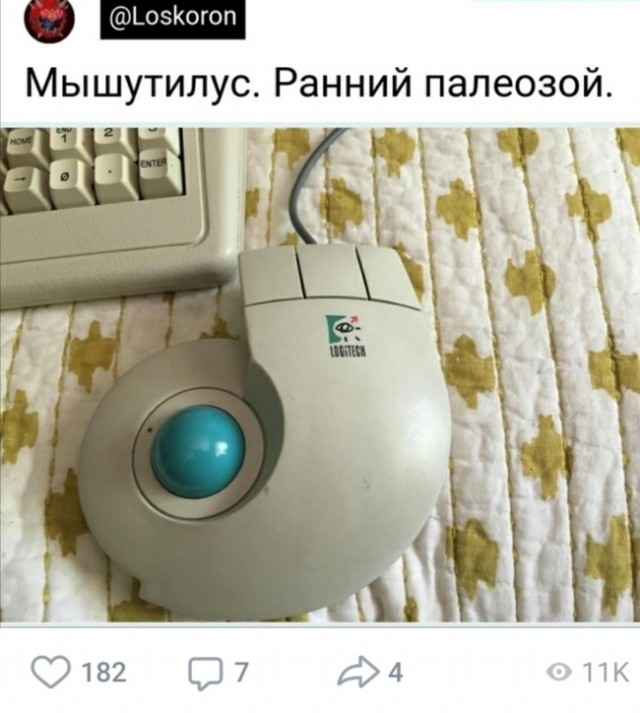 Картинки всякие разные невпопад 1.4