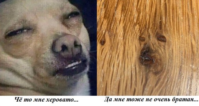 Веселое настроение в картинках 27.07.26