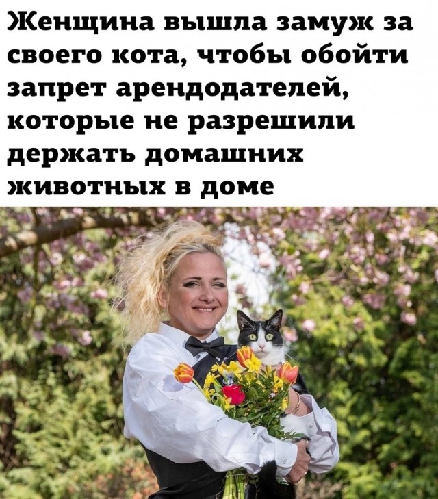 Так себе картинки 14.08.26