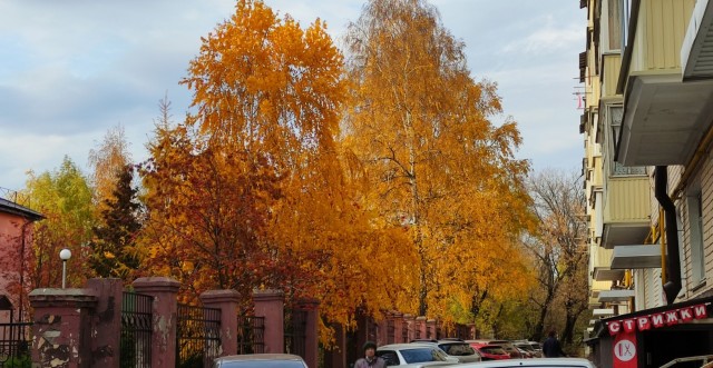 А из нашего окошка осень видна немножко)