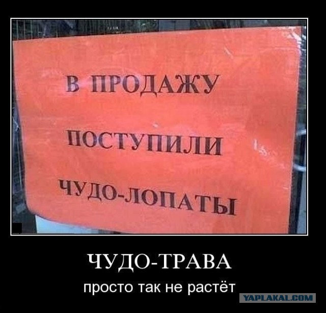 Прикалдэски