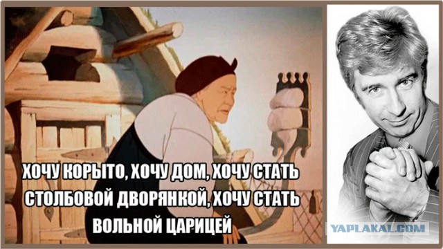 Краткий пересказ золотой рыбки