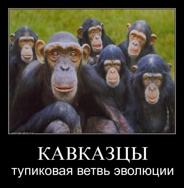 Обзор планшета по дагестански