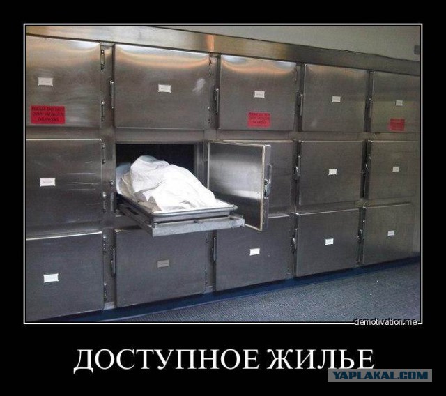 Нет денег на приличное жилье? Купите "путинку"!