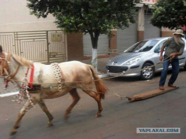 Подборка забавных и курьезных фотографий