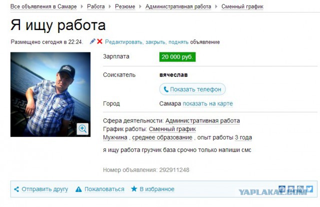 Профессионалы в поисках трудоустройства
