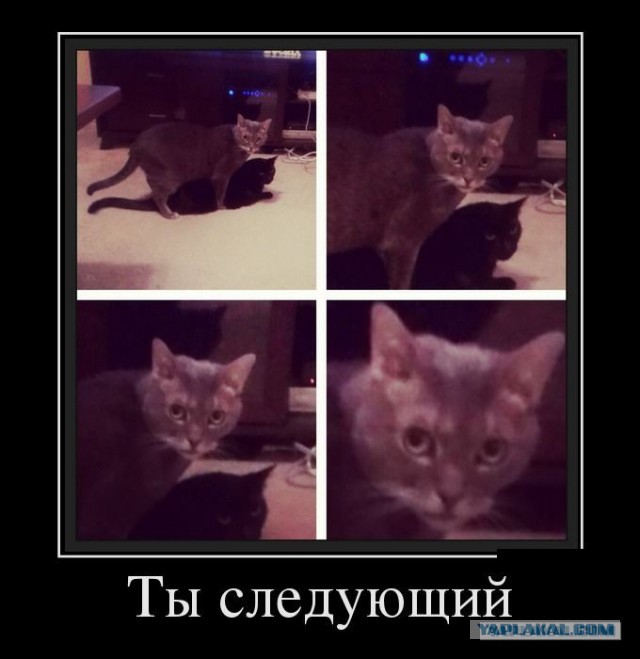 Немцов убит в Москве