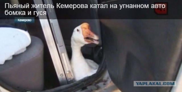 Смешные комментарии из социальных сетей 05.05.15