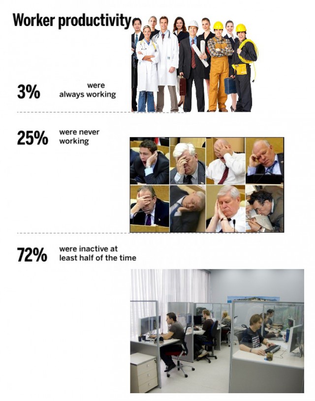 Развенчан миф: муравьи оказались бездельниками!