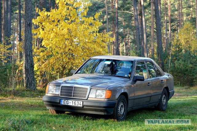 W124 История домаркетингового боливара