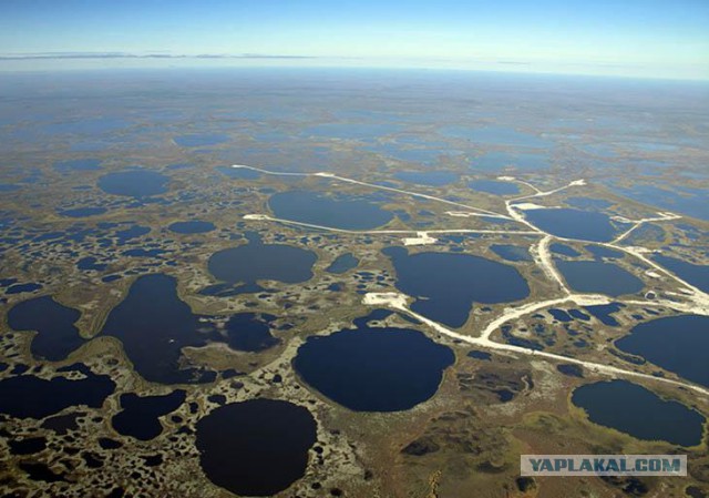 Дорога через самое большое болото в мире