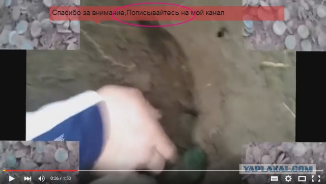 Вот такой клад. 2 полных горшка