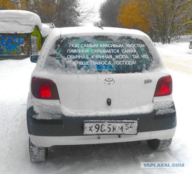 Что обычно водители пишут на своих автомобилях?