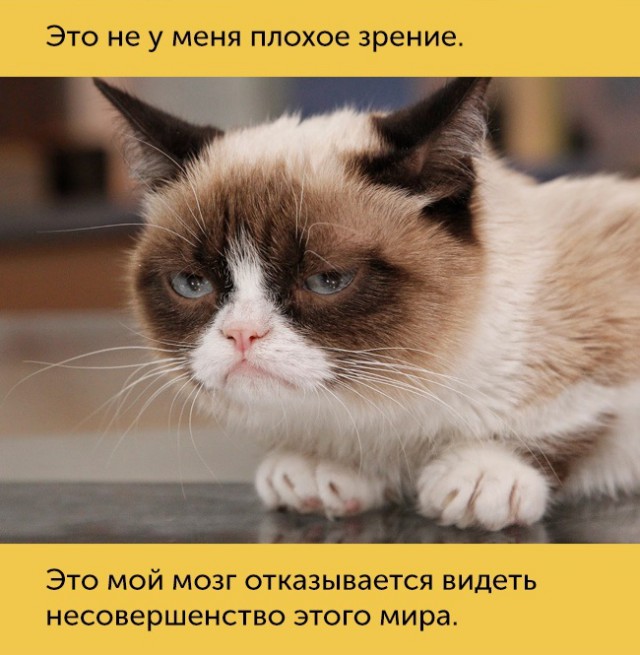 15 проблем, которые поймут только люди с плохим зрением