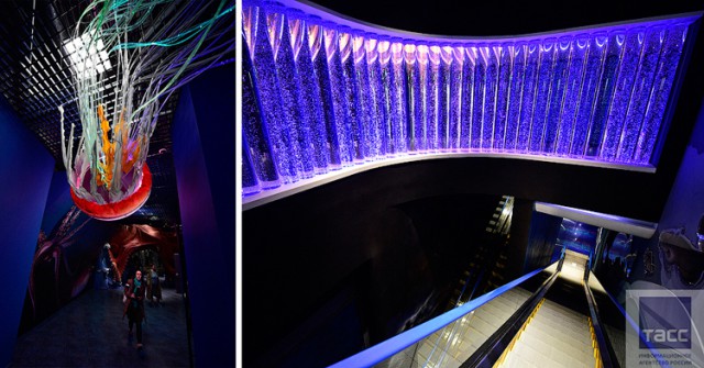 Подготовка к открытию Приморского океанариума на острове Русский во Владивостоке (Часть 2)