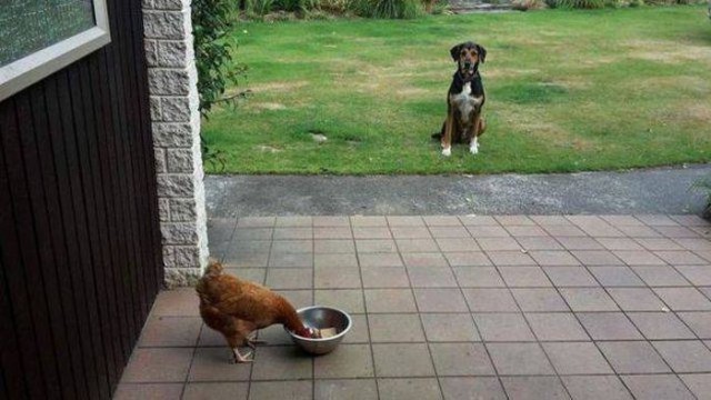 Подборка интересных и веселых картинок