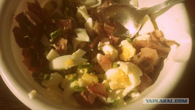 Фастфуд-пикник на день рождения ЯПа