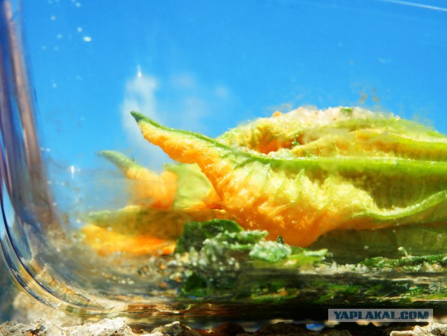 Готовят наши дети и мы готовим для детей.